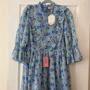 NWT Ivy City Co Monet Dress